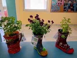 Συμμετοχή του σχολείου μας στη δράση «Ψάχνουμε τον Κρυμμένο Πράσινο Θησαυρό!» –Erasmus Days 2025