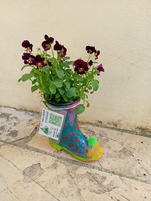 Συμμετοχή του σχολείου μας στη δράση «Ψάχνουμε τον Κρυμμένο Πράσινο Θησαυρό!» –Erasmus Days 2025