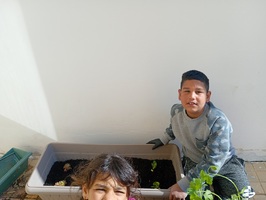 Επίσκεψη στο Φυτώριο και σχολικός κήπος