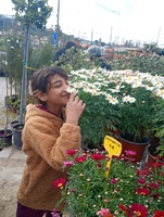 Επίσκεψη στο Φυτώριο και σχολικός κήπος