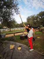 Εκπαιδευτική επίσκεψη στη Σχολή ιππασίας- "Το λιωμάζωμα"