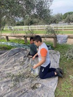 Εκπαιδευτική επίσκεψη στη Σχολή ιππασίας- "Το λιωμάζωμα"