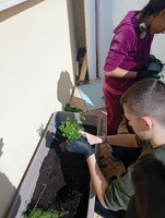 Επίσκεψη στο Φυτώριο και σχολικός κήπος