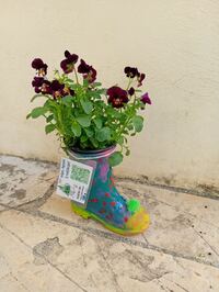 Συμμετοχή του σχολείου μας στη δράση «Ψάχνουμε τον Κρυμμένο Πράσινο Θησαυρό!» –Erasmus Days 2025